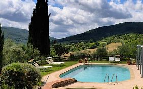 Agriturismo Apparita